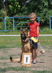 Щенки немецких овчарок из питомника.