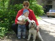 Пудель малый — Донецьк